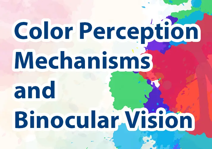 Color Perception Mechanisms and Binocular Vision