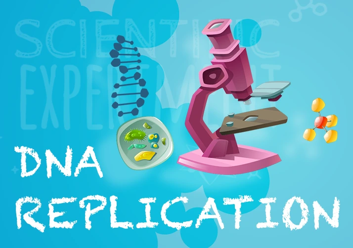Know About DNA Replication